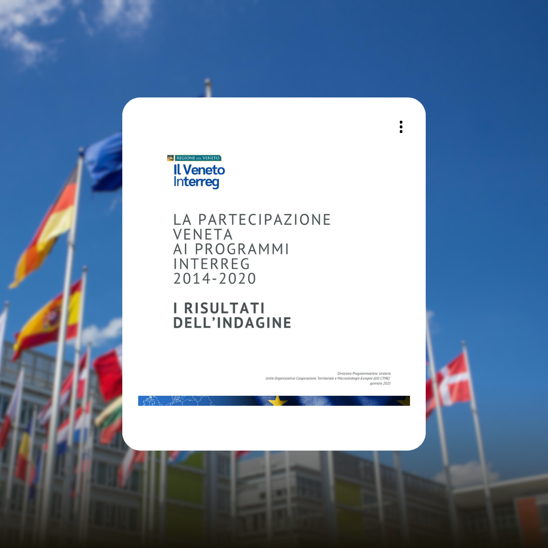 Immagine della coopertina della relazione di sintesi dell'indagine conoscitiva